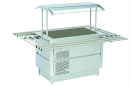 Salad Bar with Cold Pool Service Shelf & Light And Tray Stand
